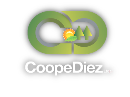 Coopediez Logo